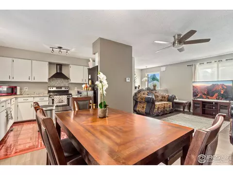 9 Rose Ct, Windsor, CO 80550 photo 9