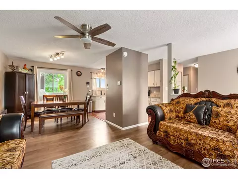 9 Rose Ct, Windsor, CO 80550 photo 5