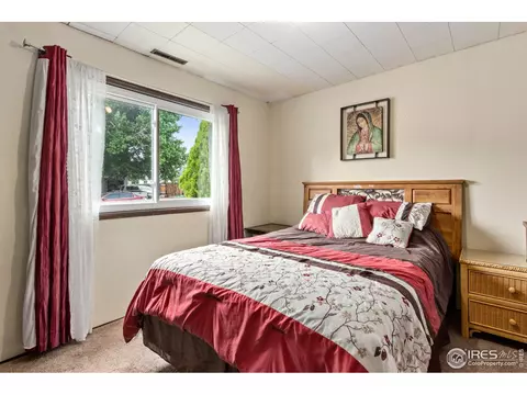 9 Rose Ct, Windsor, CO 80550 photo 14