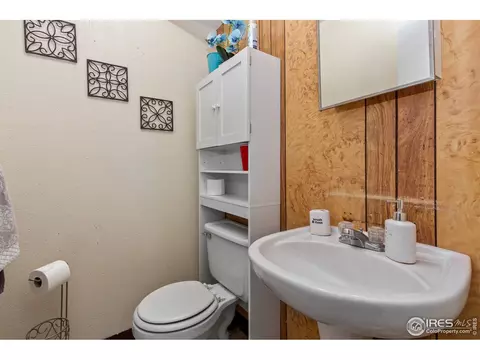 9 Rose Ct, Windsor, CO 80550 photo 22