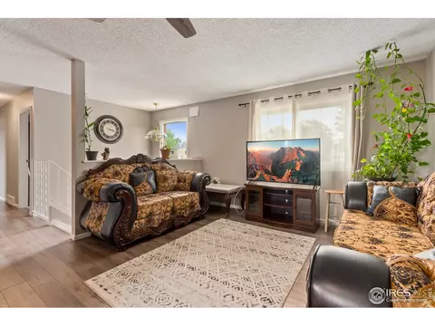 9 Rose Ct, Windsor, CO 80550 photo 7