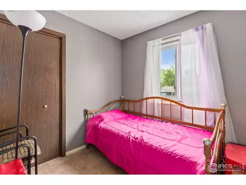 9 Rose Ct, Windsor, CO 80550 photo 13