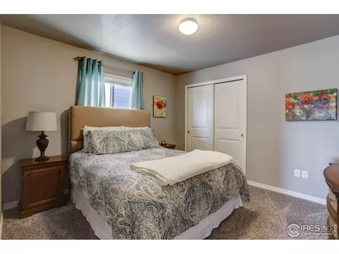 6054 Carmon Dr, Windsor, CO 80550 photo 16