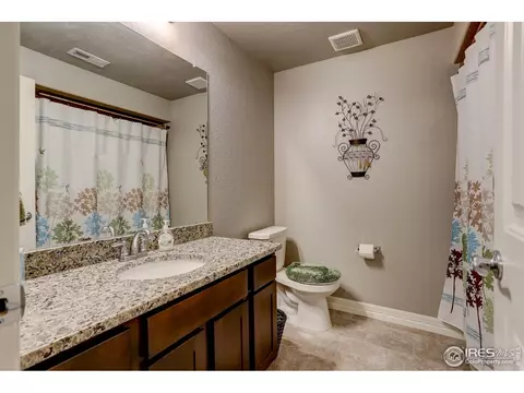 6054 Carmon Dr, Windsor, CO 80550 photo 30