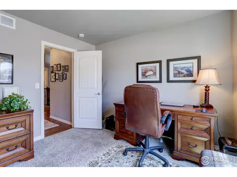 6054 Carmon Dr, Windsor, CO 80550 photo 19
