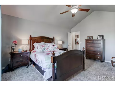 6054 Carmon Dr, Windsor, CO 80550 photo 22