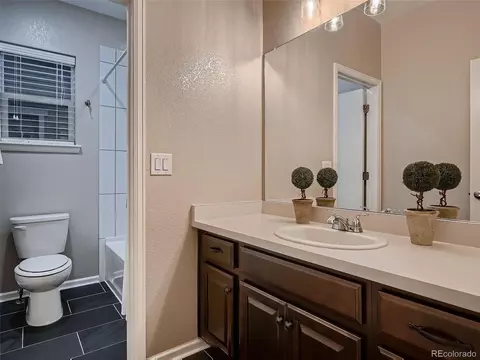 6894 E 133rd Pl, Thornton, CO 80602 photo 20