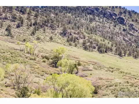 41 Cave Rock Ct, Lyons, CO 80540 photo 39