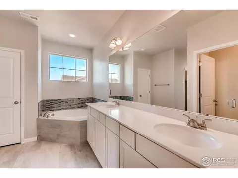 1747 Branching Canopy Dr, Windsor, CO 80550 photo 16
