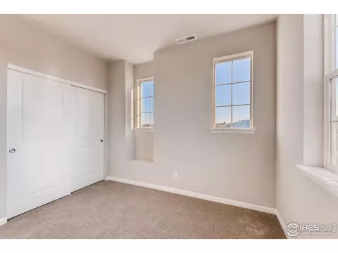 1747 Branching Canopy Dr, Windsor, CO 80550 photo 18
