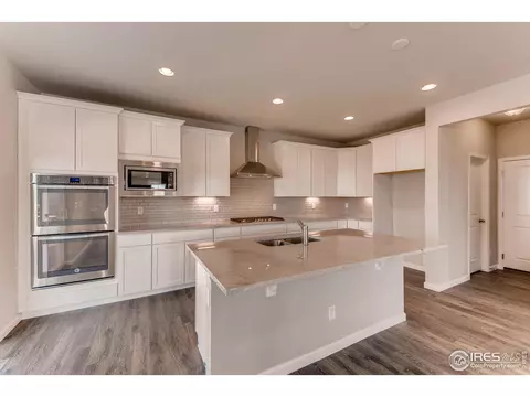 1747 Branching Canopy Dr, Windsor, CO 80550 photo 5