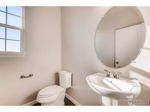 1747 Branching Canopy Dr, Windsor, CO 80550 photo 11