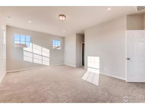 1747 Branching Canopy Dr, Windsor, CO 80550 photo 15
