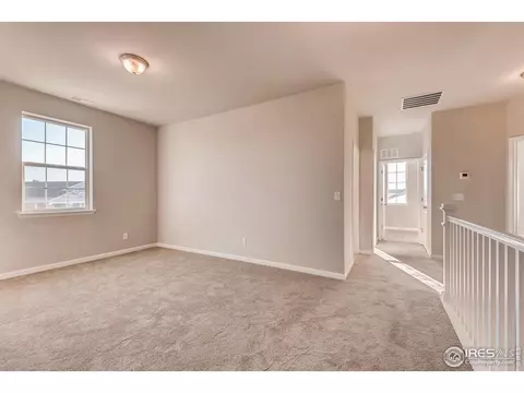 1747 Branching Canopy Dr, Windsor, CO 80550 photo 23