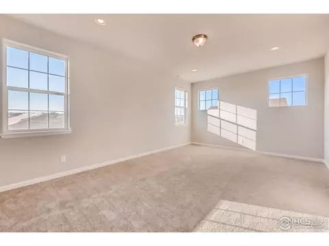 1747 Branching Canopy Dr, Windsor, CO 80550 photo 17
