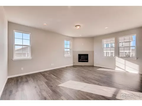 1747 Branching Canopy Dr, Windsor, CO 80550 photo 8