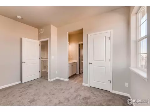 1747 Branching Canopy Dr, Windsor, CO 80550 photo 24