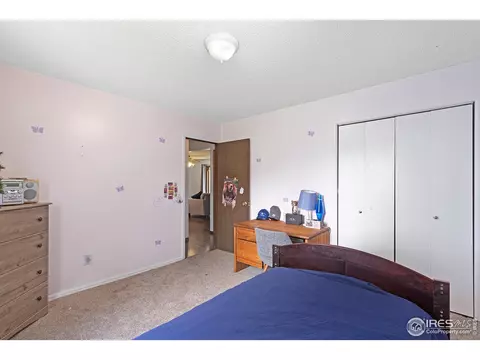 3602 Marigold St, Evans, CO 80620 photo 13