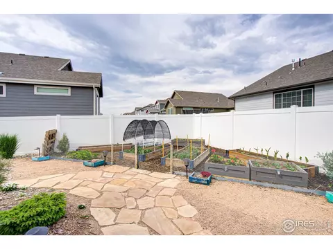 348 Mt Bross Ave, Severance, CO 80550 photo 16