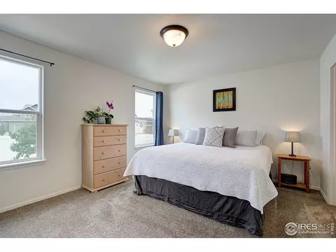 348 Mt Bross Ave, Severance, CO 80550 photo 19