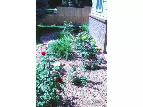 2425 49th Ave Ct, Greeley, CO 80634 photo 34