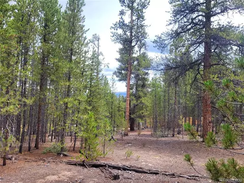 891 Sequoia Dr, Twin Lakes, CO 80461