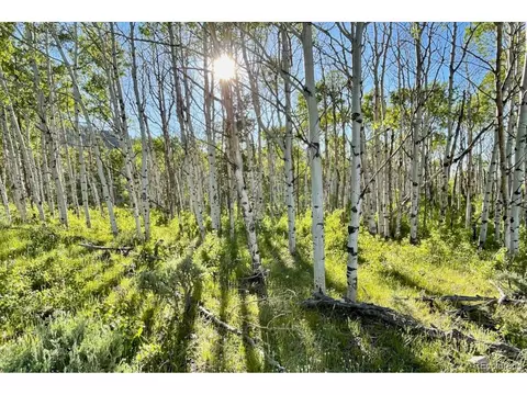 Jcr 2, Walden, CO 80480