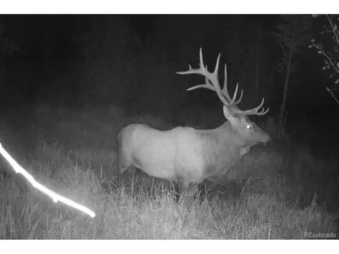 Jcr 2, Walden, CO 80480 photo 9