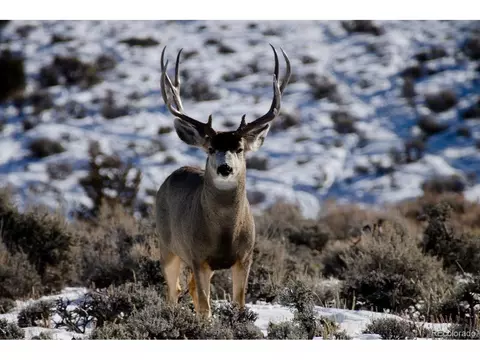 Jcr 2, Walden, CO 80480 photo 12