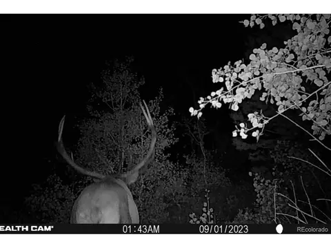 Jcr 2, Walden, CO 80480 photo 8