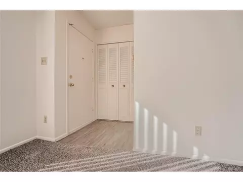 9152 E Lehigh St, Denver, CO 80237 photo 11