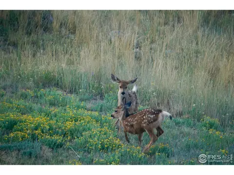 326 Peakview Rd, Boulder, CO 80302 photo 28