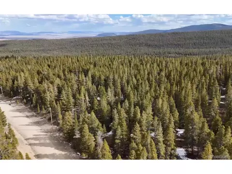1726 Venture Rd, Fairplay, CO 80440