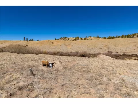 683 Latigo Loop, Hartsel, CO 80820 photo 8