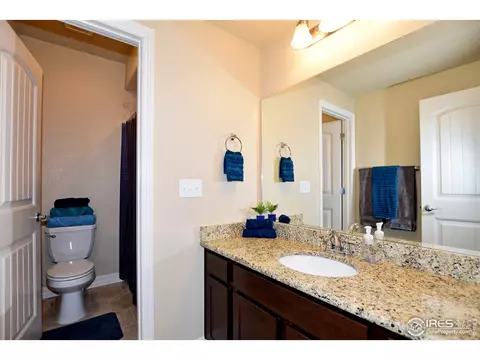 6114 Carmon Ct, Windsor, CO 80550 photo 26
