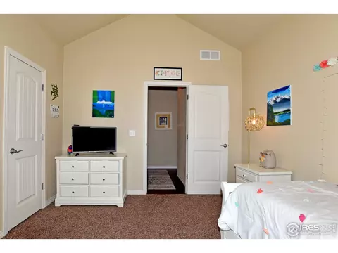 6114 Carmon Ct, Windsor, CO 80550 photo 16