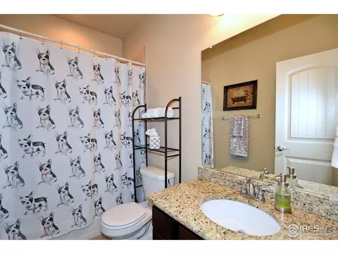 6114 Carmon Ct, Windsor, CO 80550 photo 15