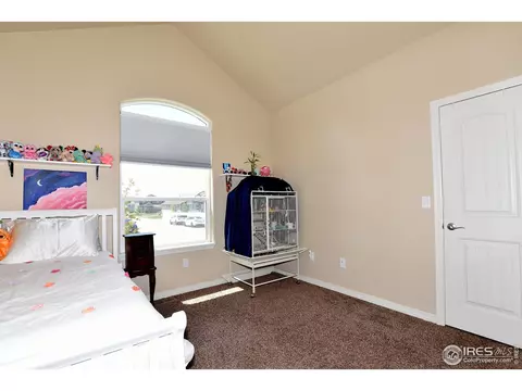 6114 Carmon Ct, Windsor, CO 80550 photo 14