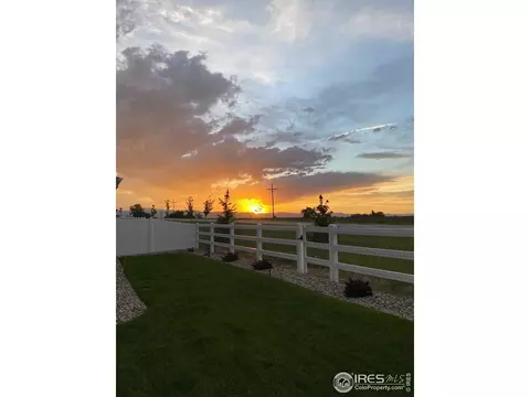 6114 Carmon Ct, Windsor, CO 80550 photo 39