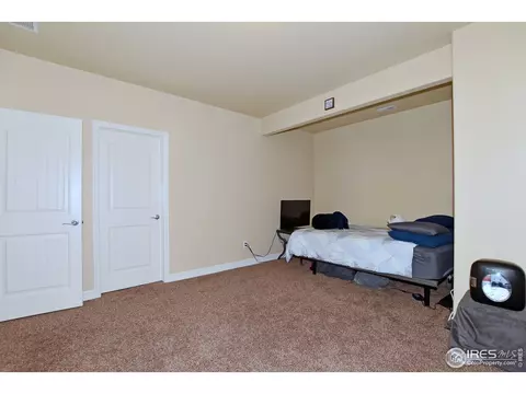 6114 Carmon Ct, Windsor, CO 80550 photo 28