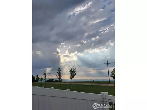 6114 Carmon Ct, Windsor, CO 80550 photo 37