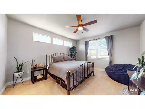 855 Corn Stalk Dr, Windsor, CO 80550 photo 16