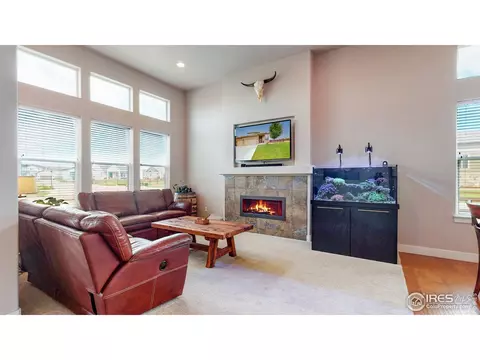 855 Corn Stalk Dr, Windsor, CO 80550 photo 4