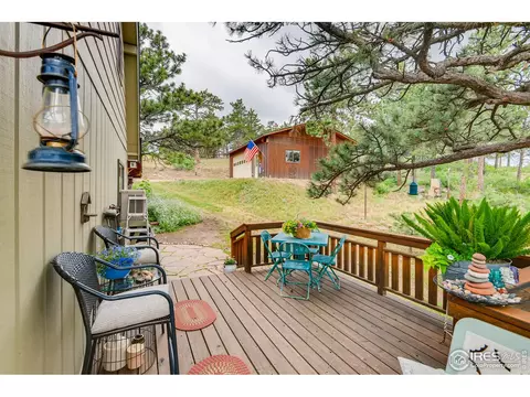 226 Jade Way, Lyons, CO 80540 photo 22