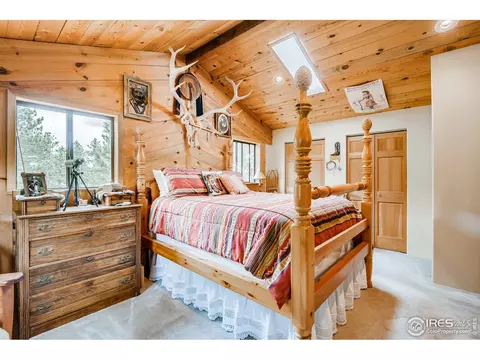 226 Jade Way, Lyons, CO 80540 photo 12