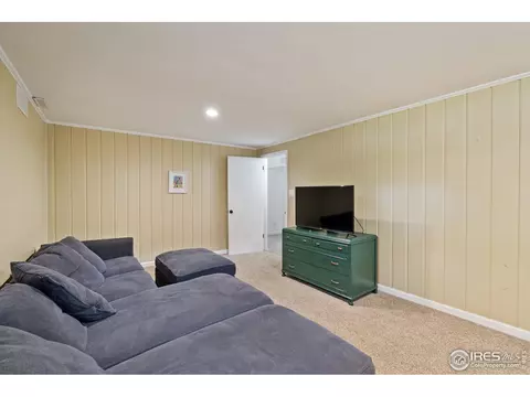 316 6th St, Windsor, CO 80550 photo 26