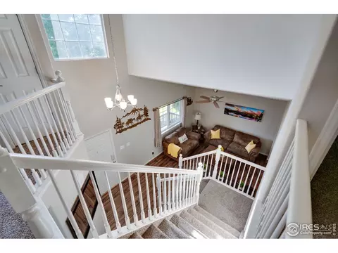 10780 Ebony St, Longmont, CO 80504 photo 19