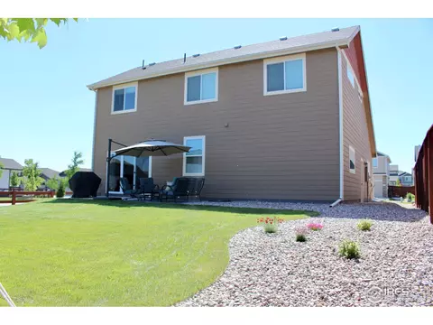 2137 Day Spring Dr, Windsor, CO 80550 photo 29