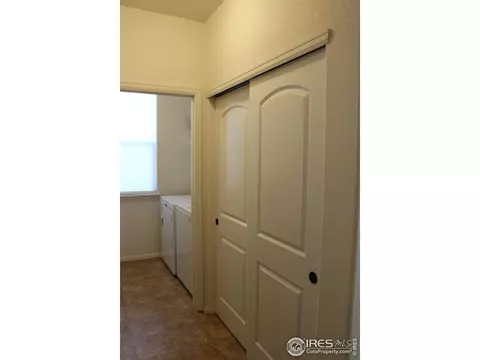 2137 Day Spring Dr, Windsor, CO 80550 photo 23