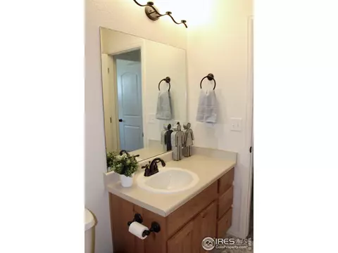 2137 Day Spring Dr, Windsor, CO 80550 photo 22